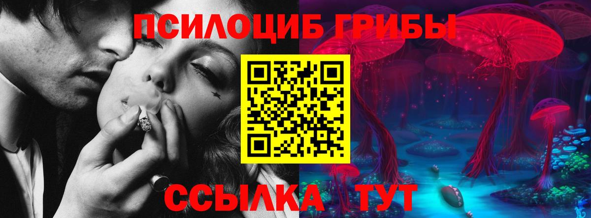 Муравленко  Галлюциногенные грибы прущие грибы  где найти наркотики  Вход с VPN 